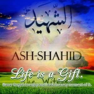 Meet your Posher, Abdul shaheed